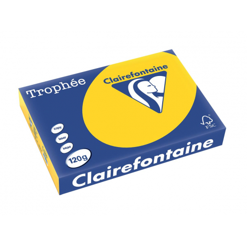 Clairefontaine Trophée Pastel, papier couleur, A4, 120 g, 250 feuilles, bouton d'or