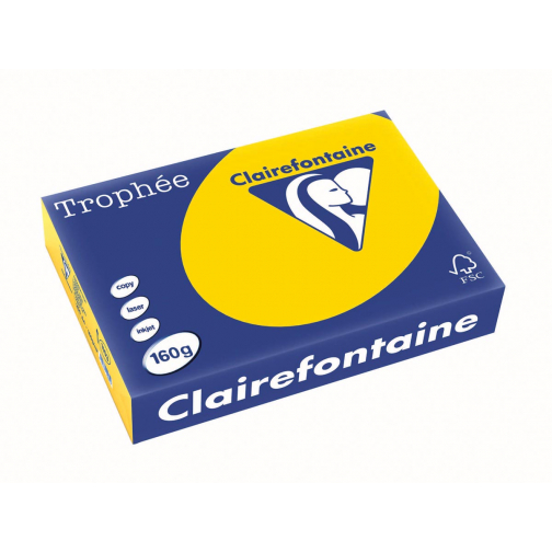 Clairefontaine Trophée Pastel, papier couleur, A4, 160 g, 250 feuilles, bouton d'or