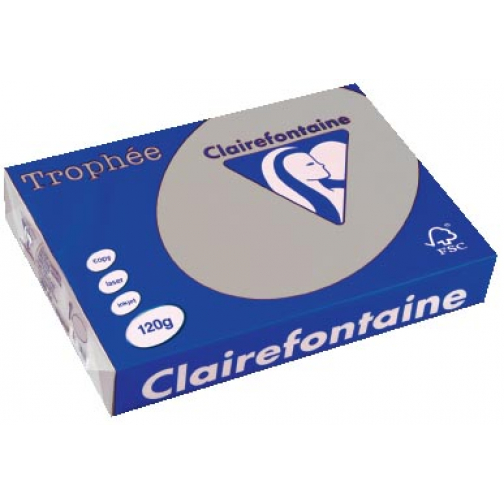 Clairefontaine Trophée Pastel, papier couleur, A4, 120 g, 250 feuilles, gris clair