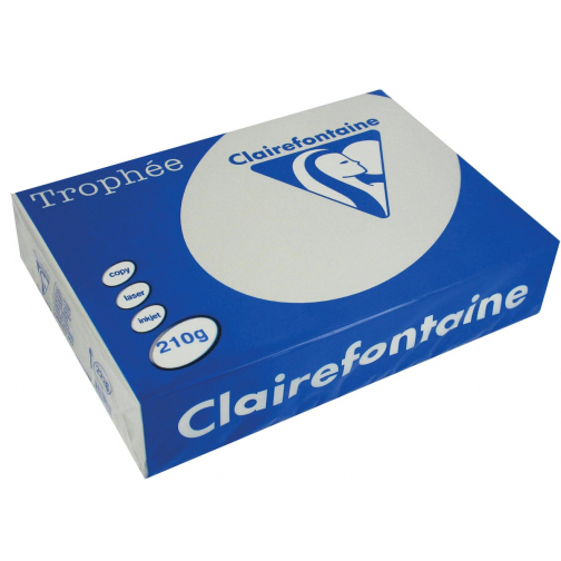 Clairefontaine Trophée Pastel, papier couleur, A4, 210 g, 250 feuilles, gris clair