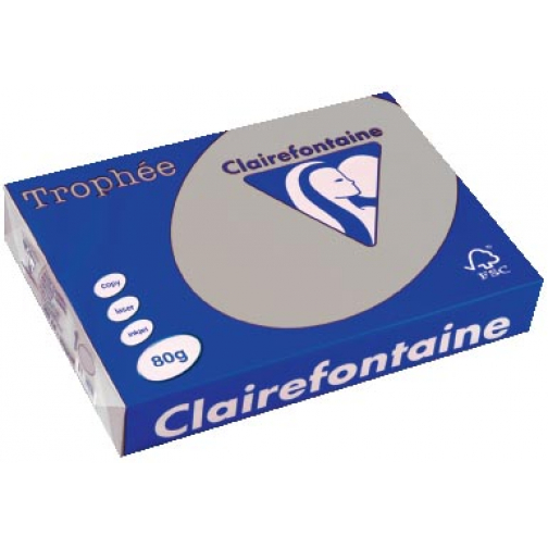 Clairefontaine Trophée papier couleur, A4, 80 g, 500 feuilles, gris clair