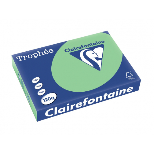 Clairefontaine Trophée Pastel, papier couleur, A4, 120 g, 250 feuilles, vert nature