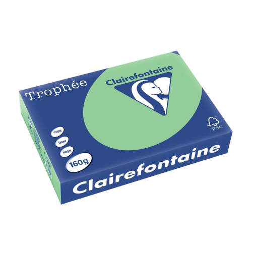 Clairefontaine Trophée Pastel, papier couleur, A4, 160 g, 250 feuilles, vert nature