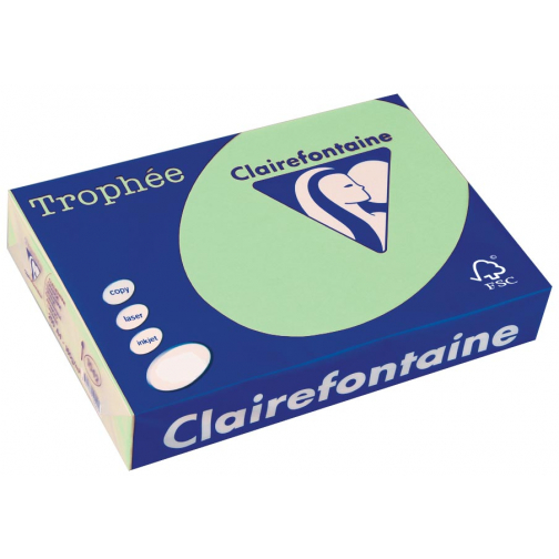 Clairefontaine Trophée papier couleur, A4, 80 g, 500 feuilles, vert nature