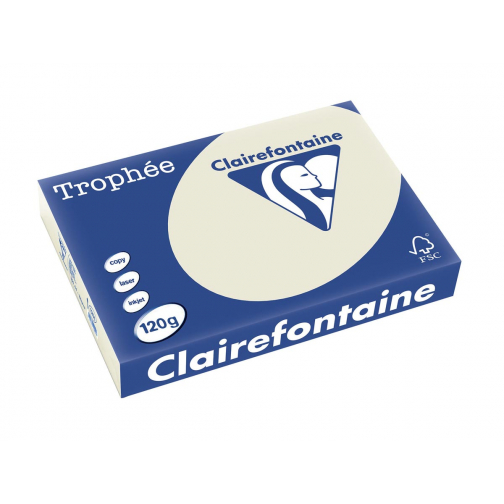 Clairefontaine Trophée Pastel, papier couleur, A4, 120 g, 250 feuilles, gris perle