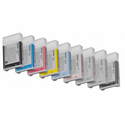 Epson fotocartridge T603900 licht lichtzwart 220ml