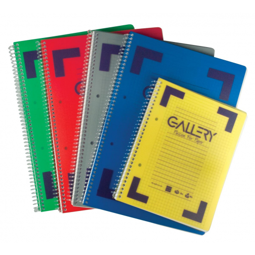 Gallery cahier à reliure spirale Traditional A5, 2 trous, quadrillé 5 mm, couleurs assorties, 160 pages