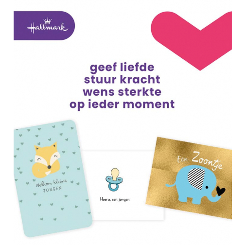 Hallmark set de recharge cartes de souhaits, naissance fils (NL), paquet de 6 pièces